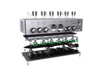 Darkglass Anagram Darkglass Anagram